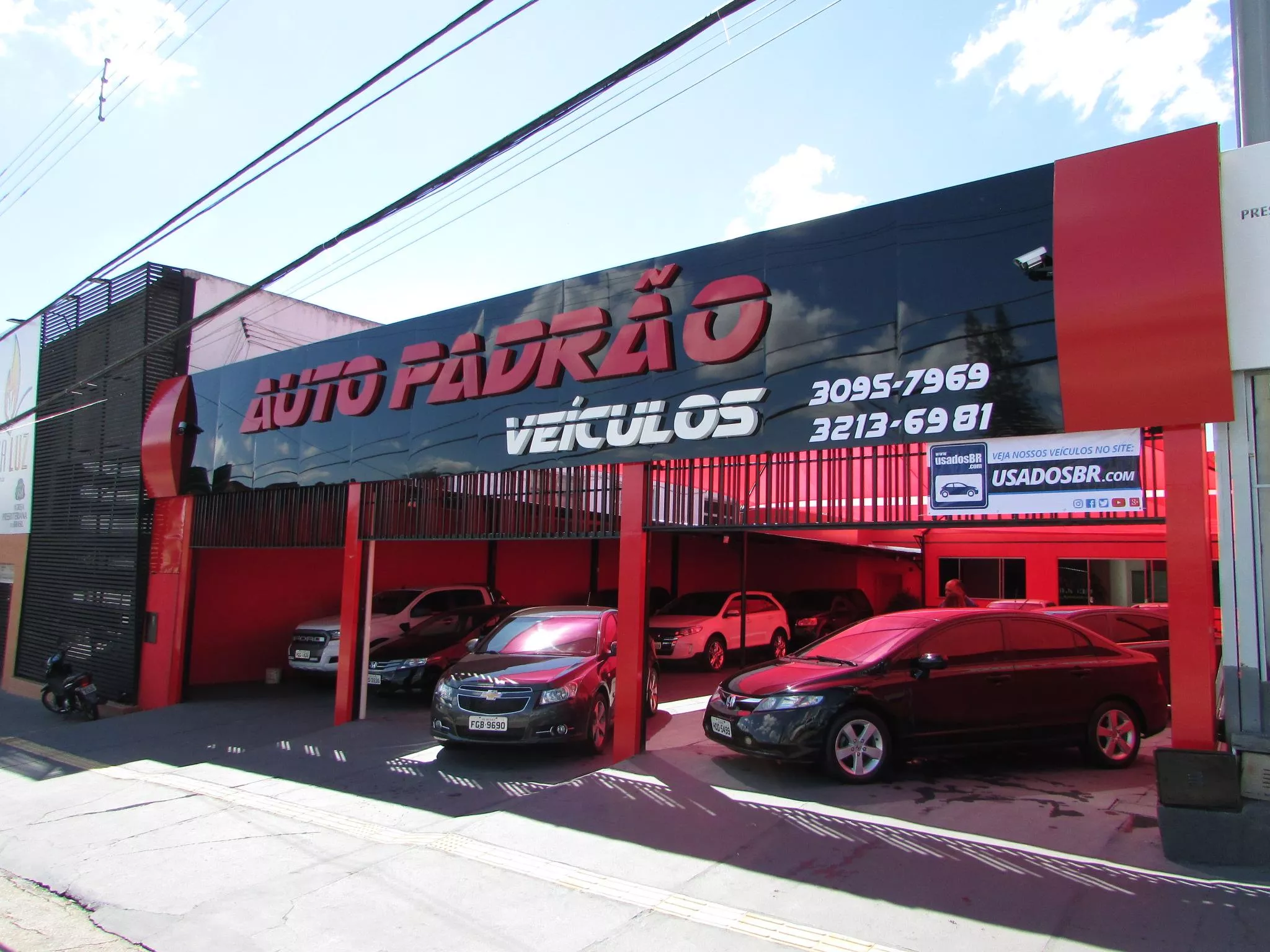 logo Auto Padrão Veículos