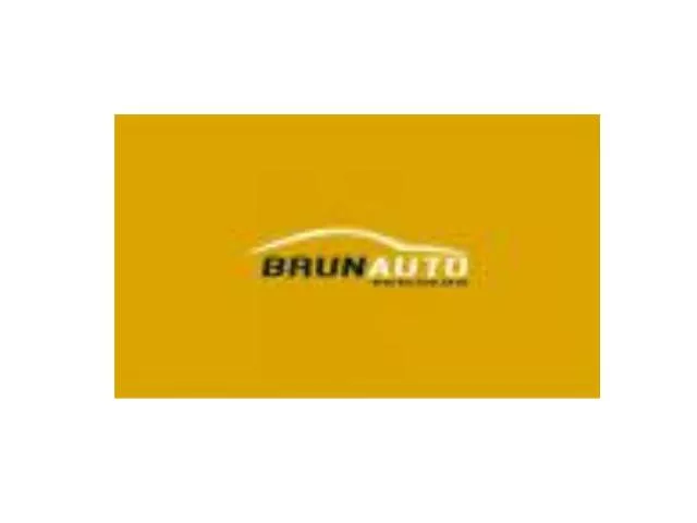 logo Brunauto