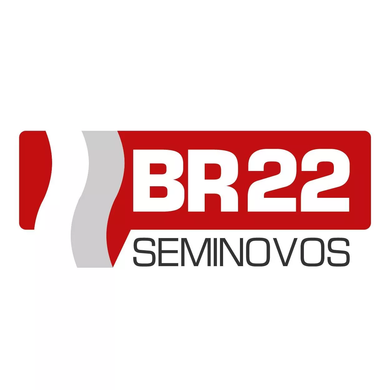 logo Br 22 Seminovos