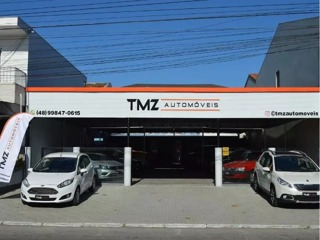 logo TMZ AUTOMOVEIS