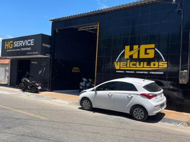 logo HG VEICULOS LTDA/HG VEICULOS